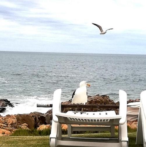 Beacon Island Resort Plettenberg Bay Exteriör bild